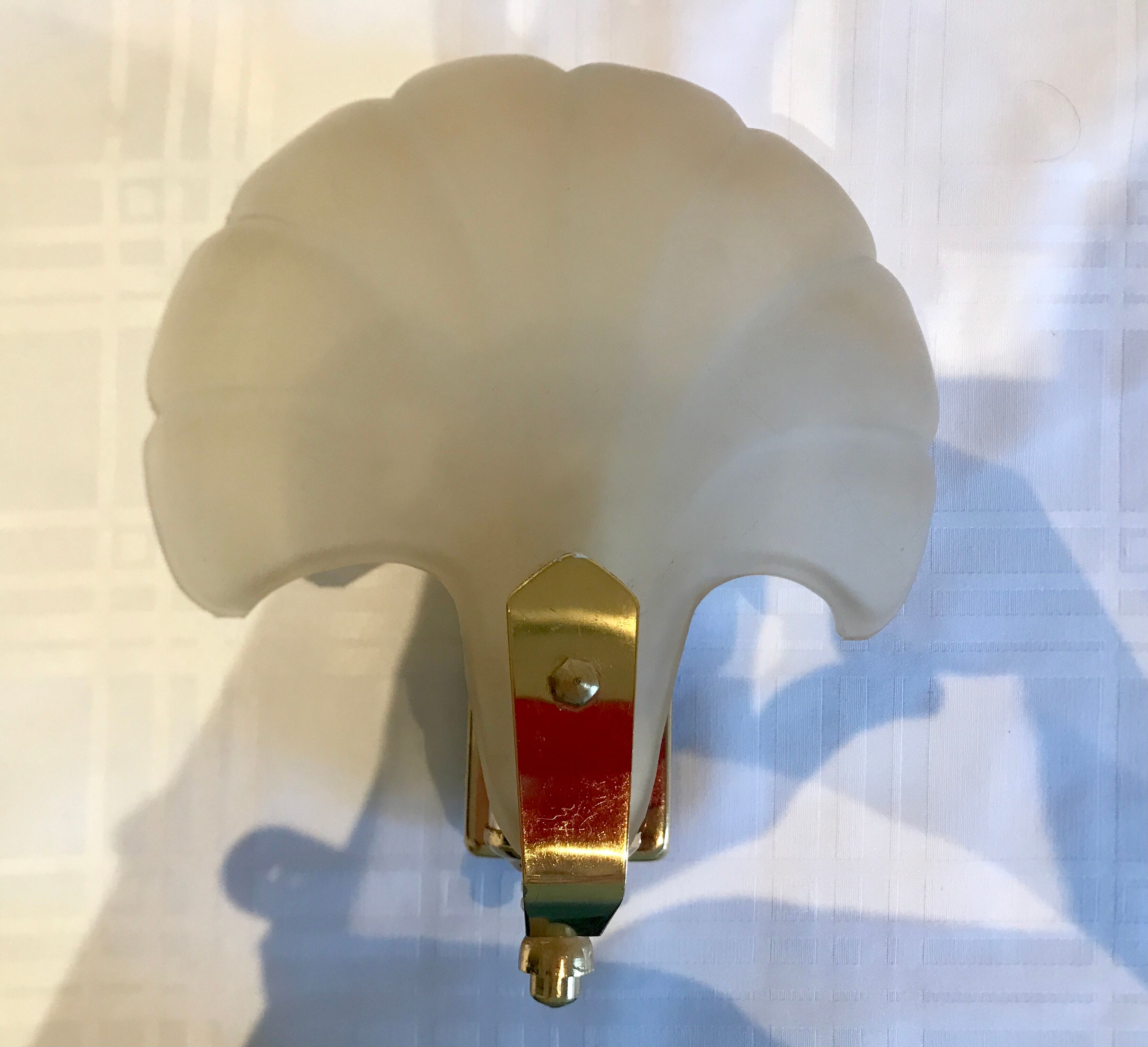 Pair of shell sconces