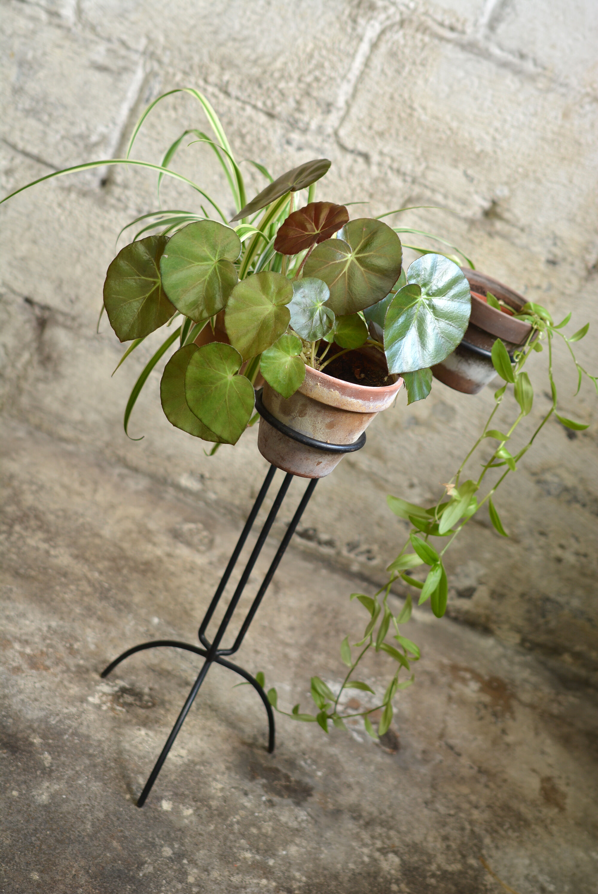 Door plants metal vintage