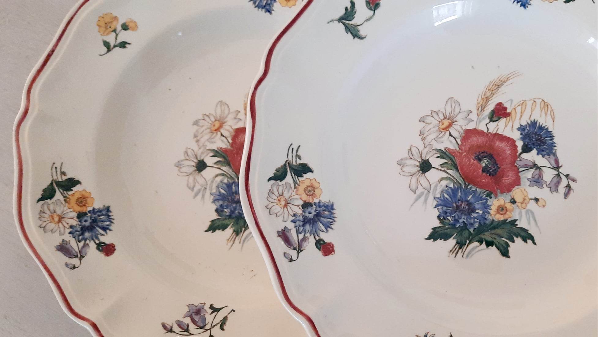 Hollow plates in earthenware Sarreguemines Model "Agreste" Vintage