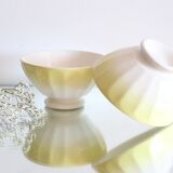 Pair of antique bowls