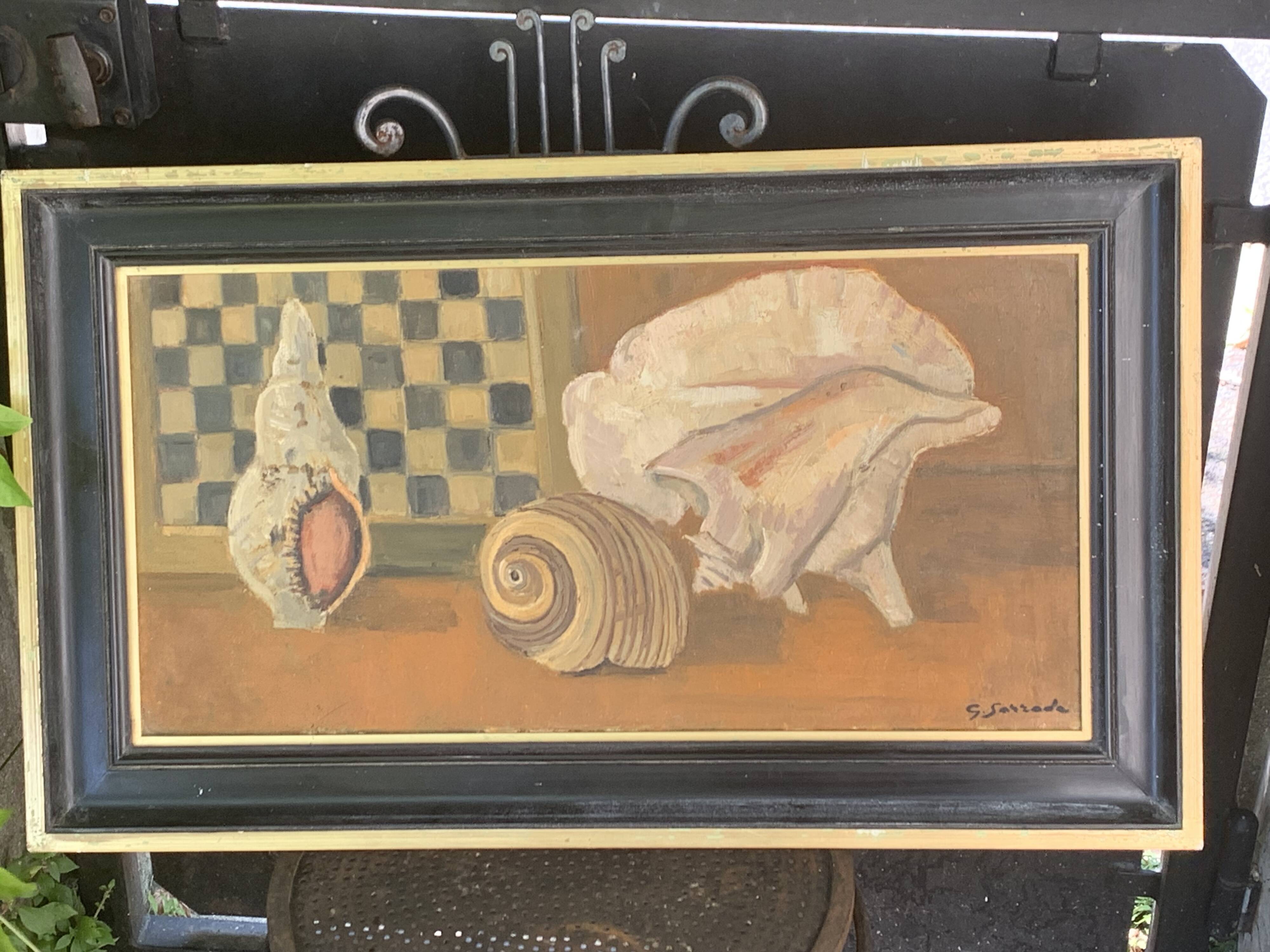 Large painting frames shells, cabinet of curiosities, sign