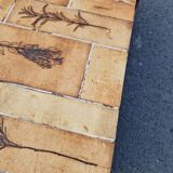 Vintage coffee table by Roger Capron, herbarium model