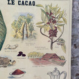 Deyrolle le cacao poster