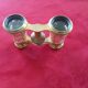 Brass and mother-of-pearl theatre twins