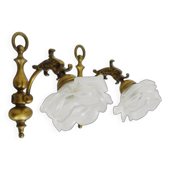 Pair of swan neck wall lights with griffin head and tulip in glass paste. 1950s-60s