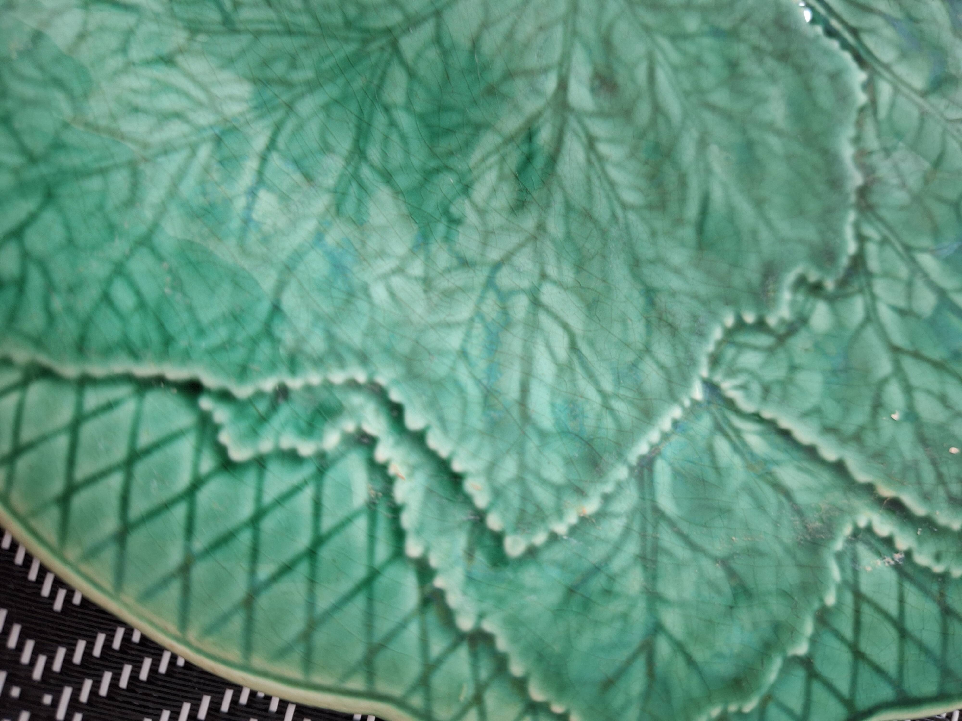 Green plate leaf of gien france