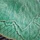 Assiette verte feuille de gien france