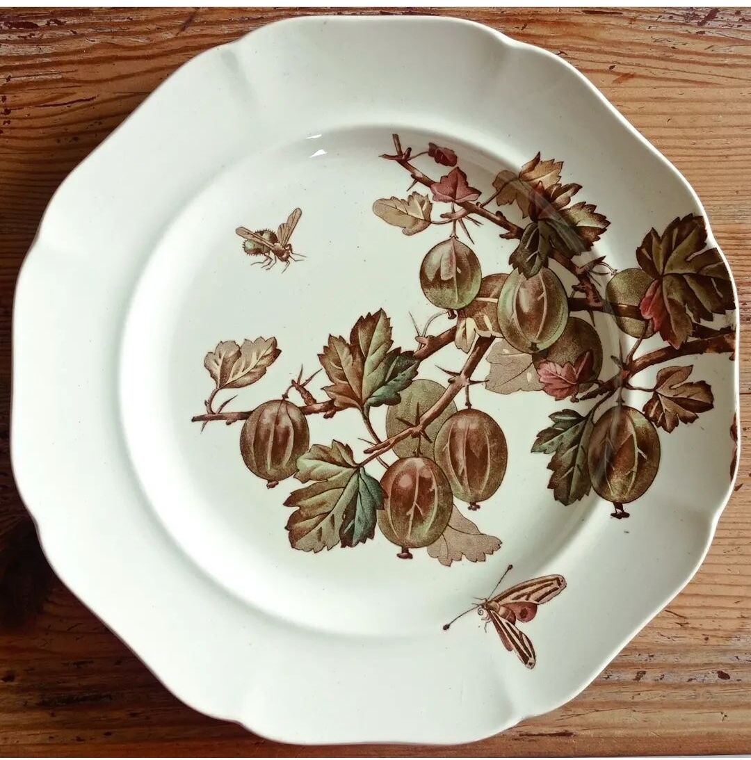 4 assiettes plates Brown-Westhead Moore and Co