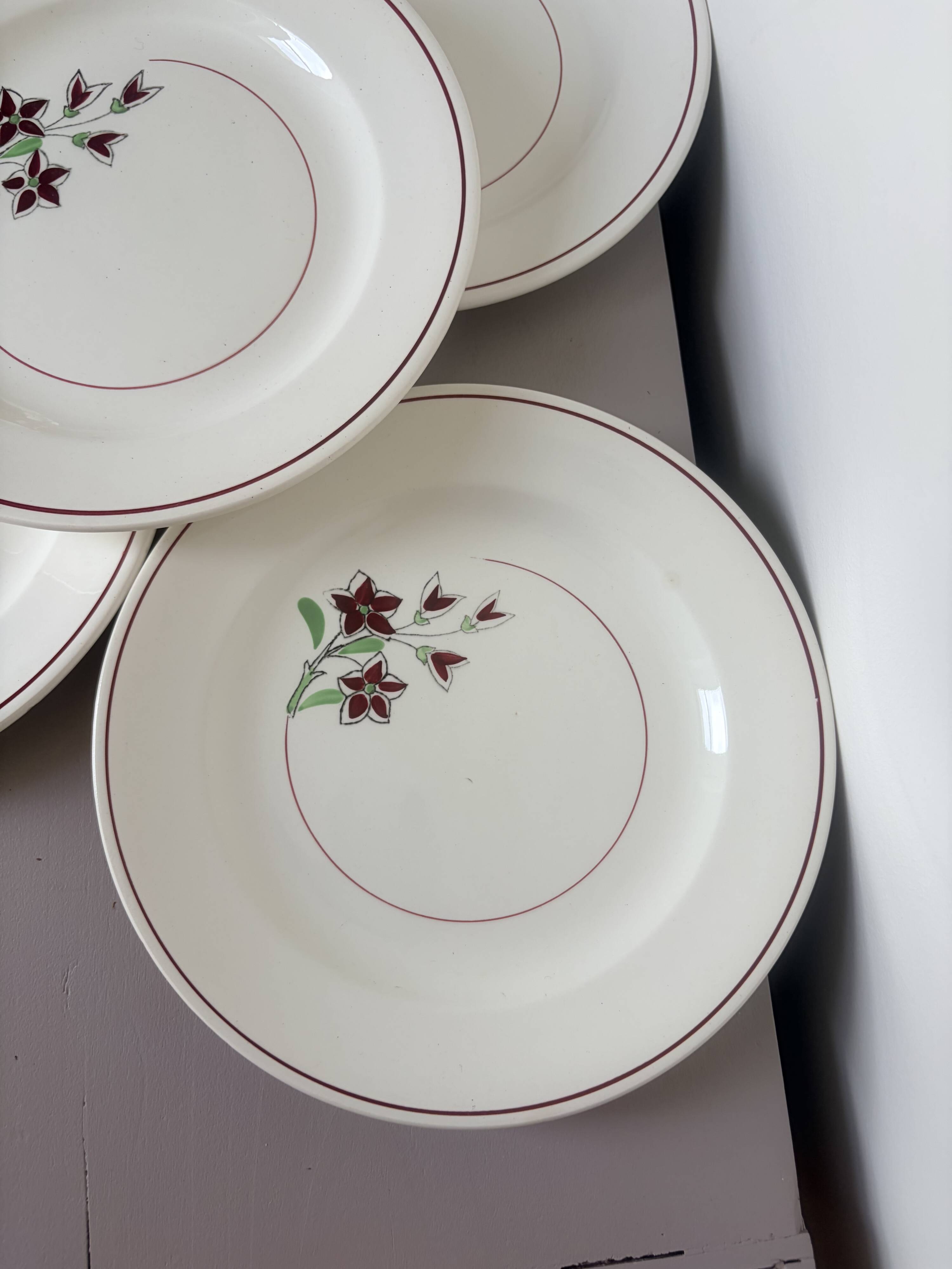 5 flat plates from Salins 210646