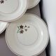 5 flat plates from Salins 210646