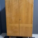 All shelf wardrobe cabinet in ash wood by františek mezulánik  for novy domov