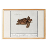 Small poster on the Tortoise, after an old engraving from 1610