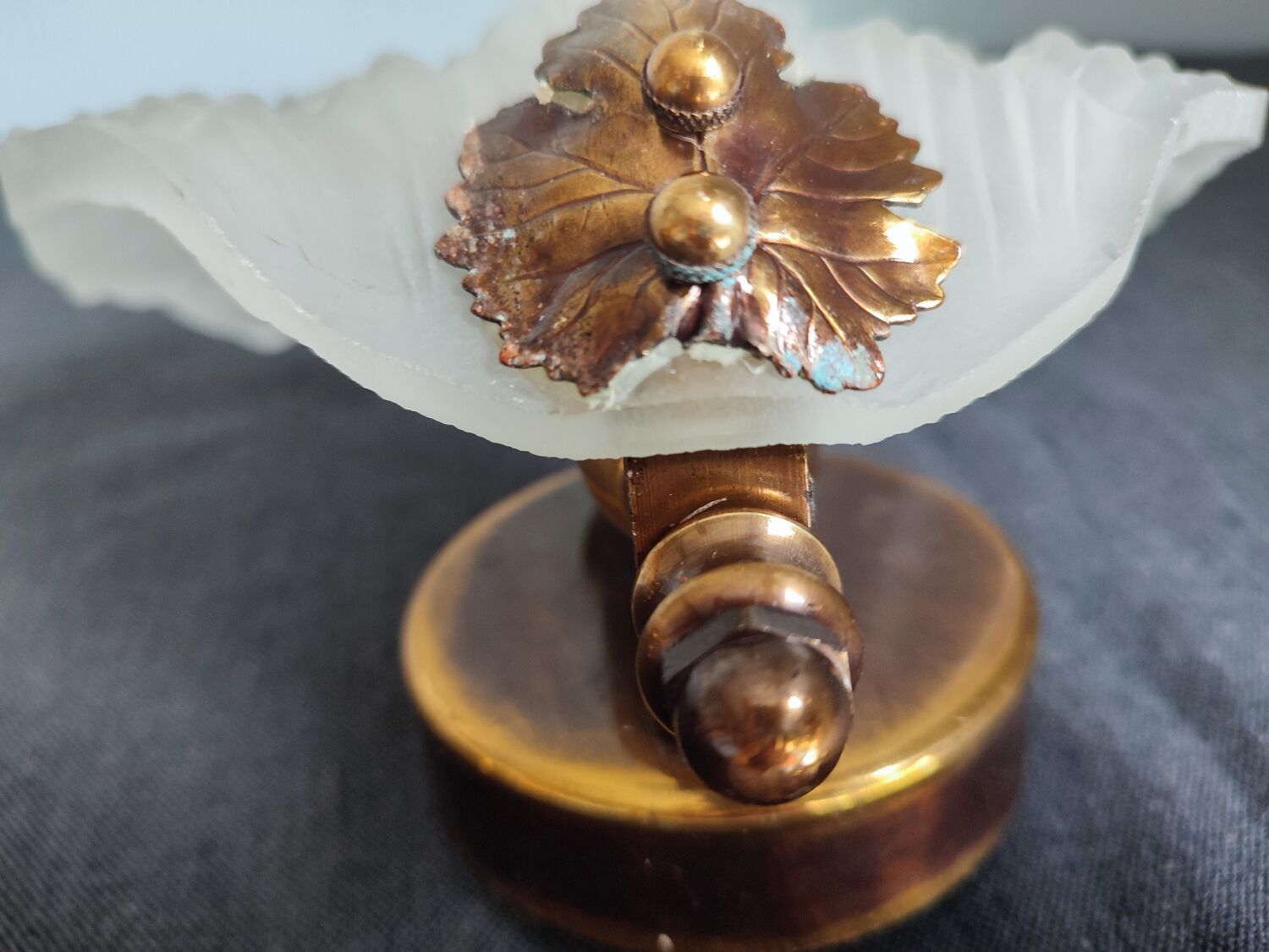 Pair of vintage shell wall lamp