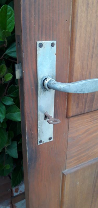 Door 176,3x69,8cm in Art Deco fir