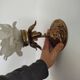 Pair of vintage floral wall lights or small pendant lights – glass deposition