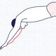 Illustration A4 Naiade No. 6/8 Brittany Blue Diver
