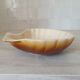 Brown and white ceramic shell bowl