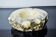 White alabaster ashtray by Romano Bianchi, Italy, 1970