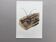 Illustration ancienne Insectes, Impression vintage années 60