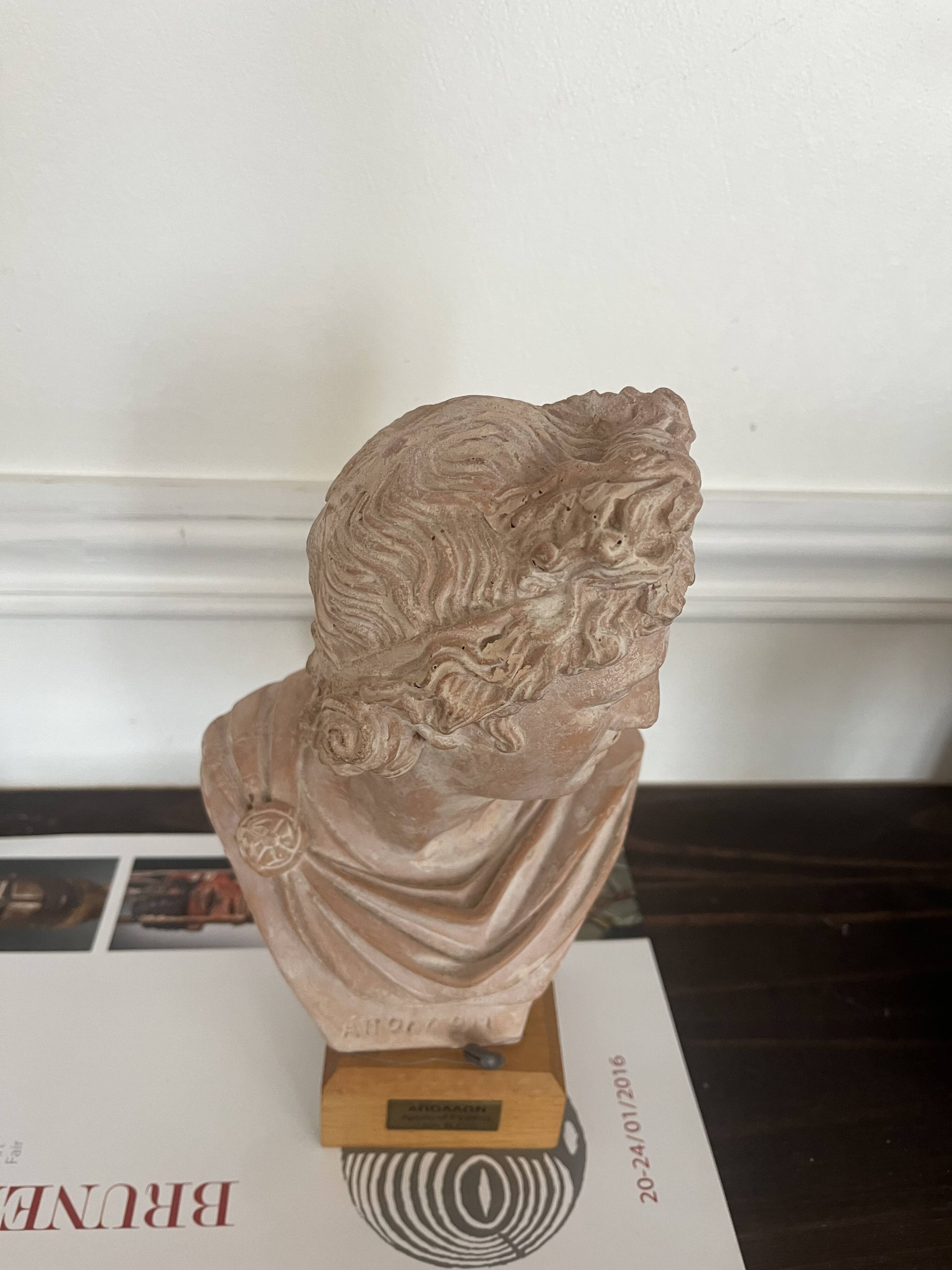 Terracotta bust of Apollo