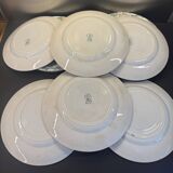 Set of 12 green ironstone flat plates