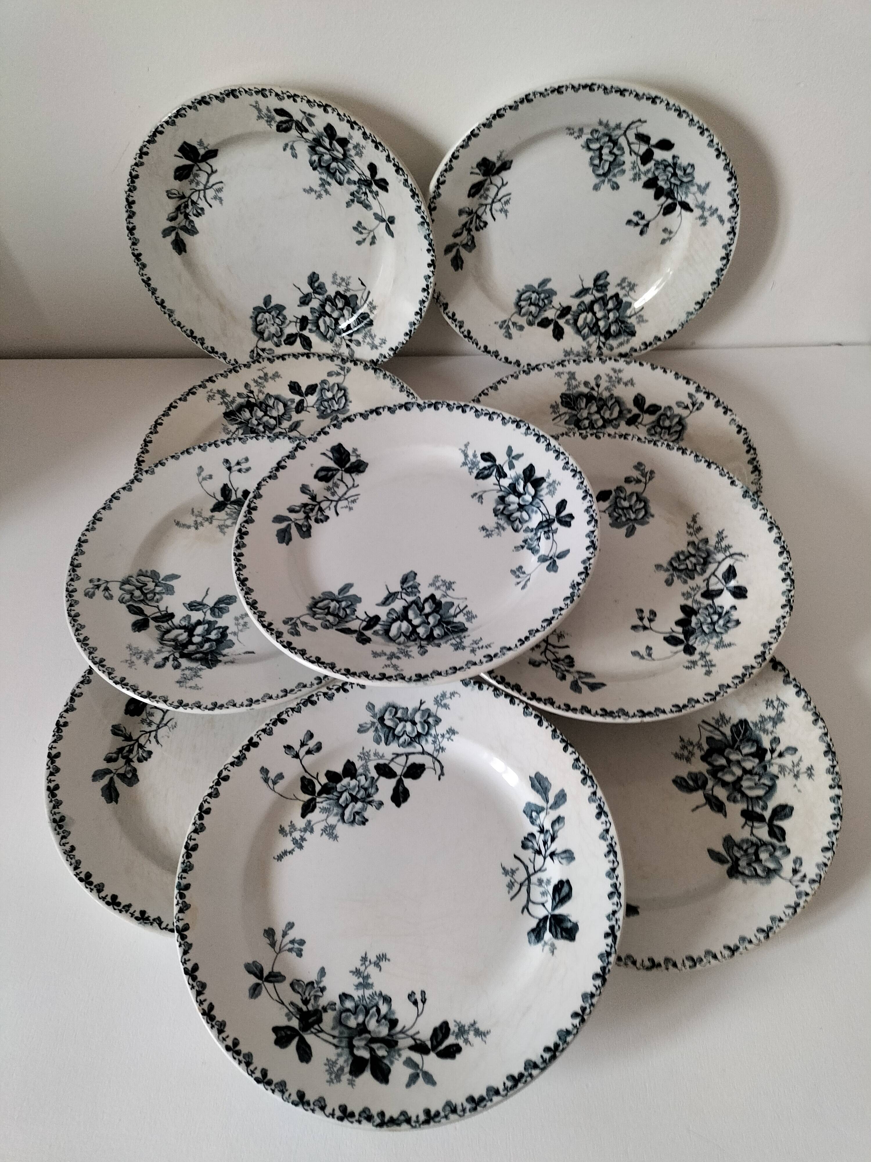 Set of 10 ironstone plates Moulin des Loups Acacia