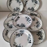 Set of 10 ironstone plates Moulin des Loups Acacia