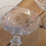 Champagne cups