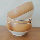 Sandstone bowls of the Scarpe