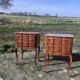 Pair of bedside tables