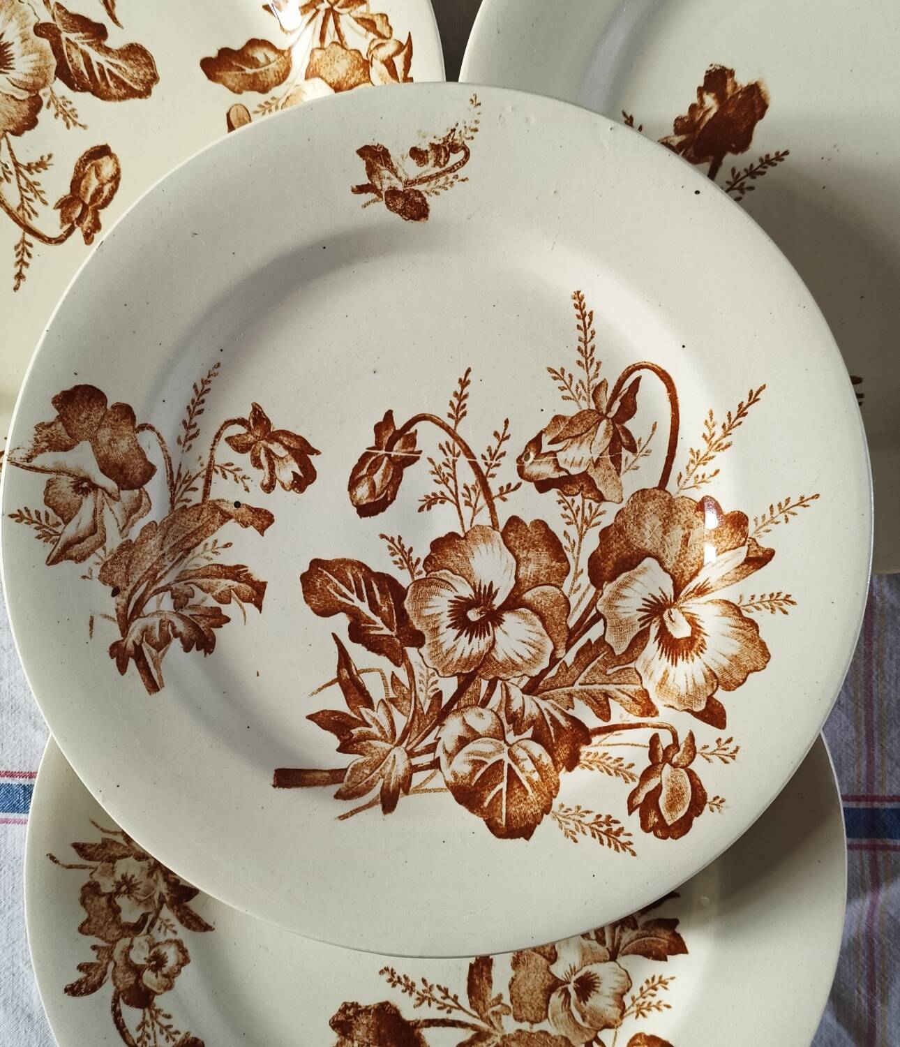 Salins ironware flat plates