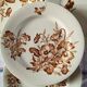 Salins ironware flat plates
