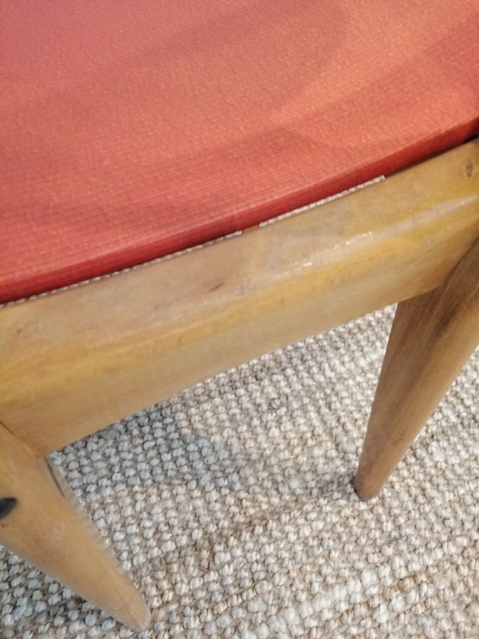 Vintage chairs from the 1950s "Stella"