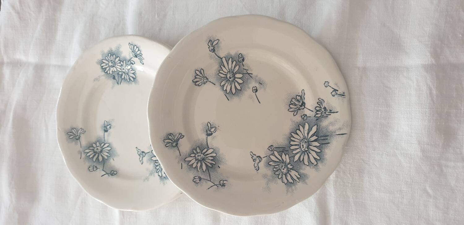 Four Marguerite plates