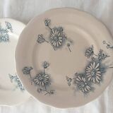 Four Marguerite plates