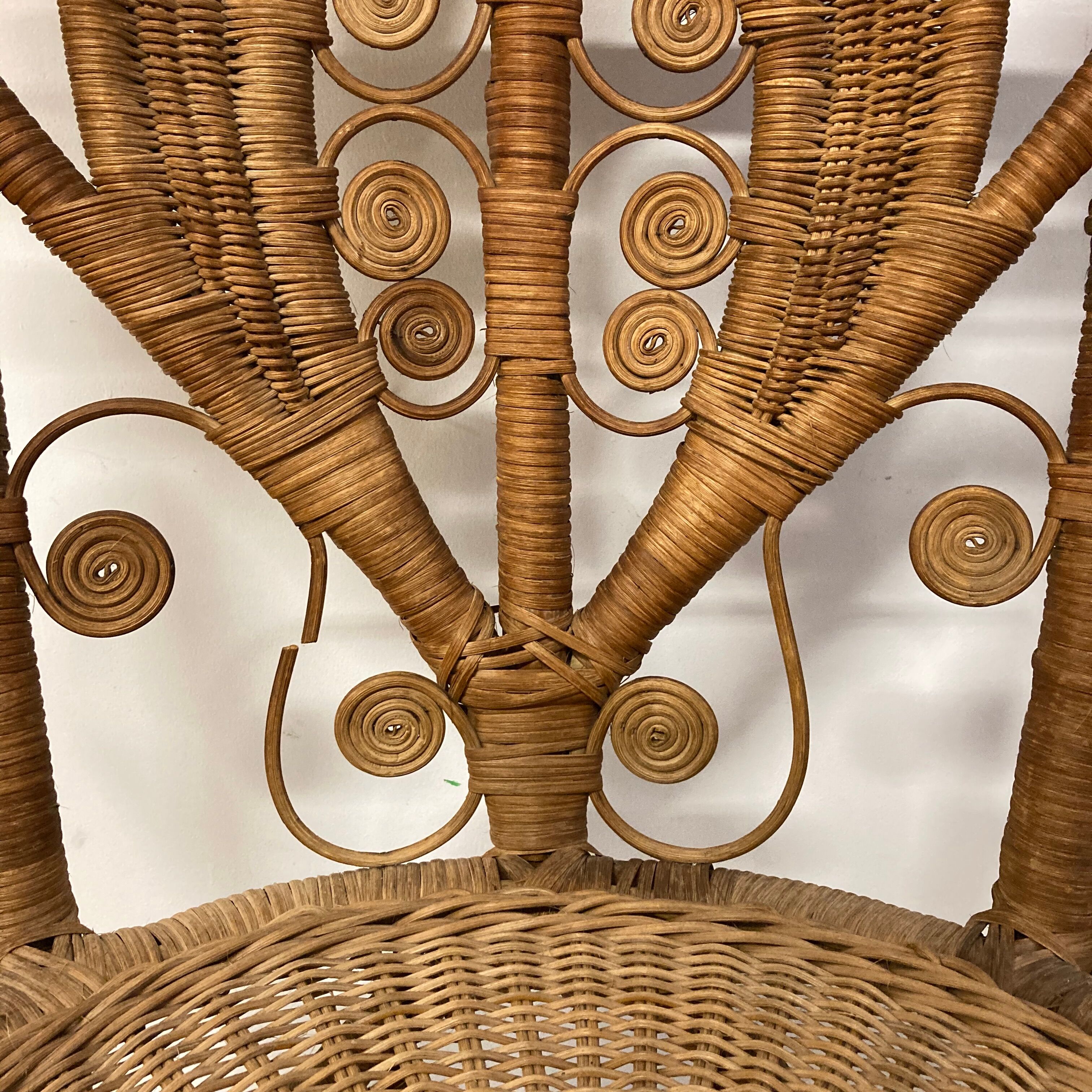 Peacock chair with armrests