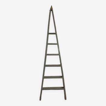 Market gardener's ladder