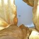 Masca flower wall lamp