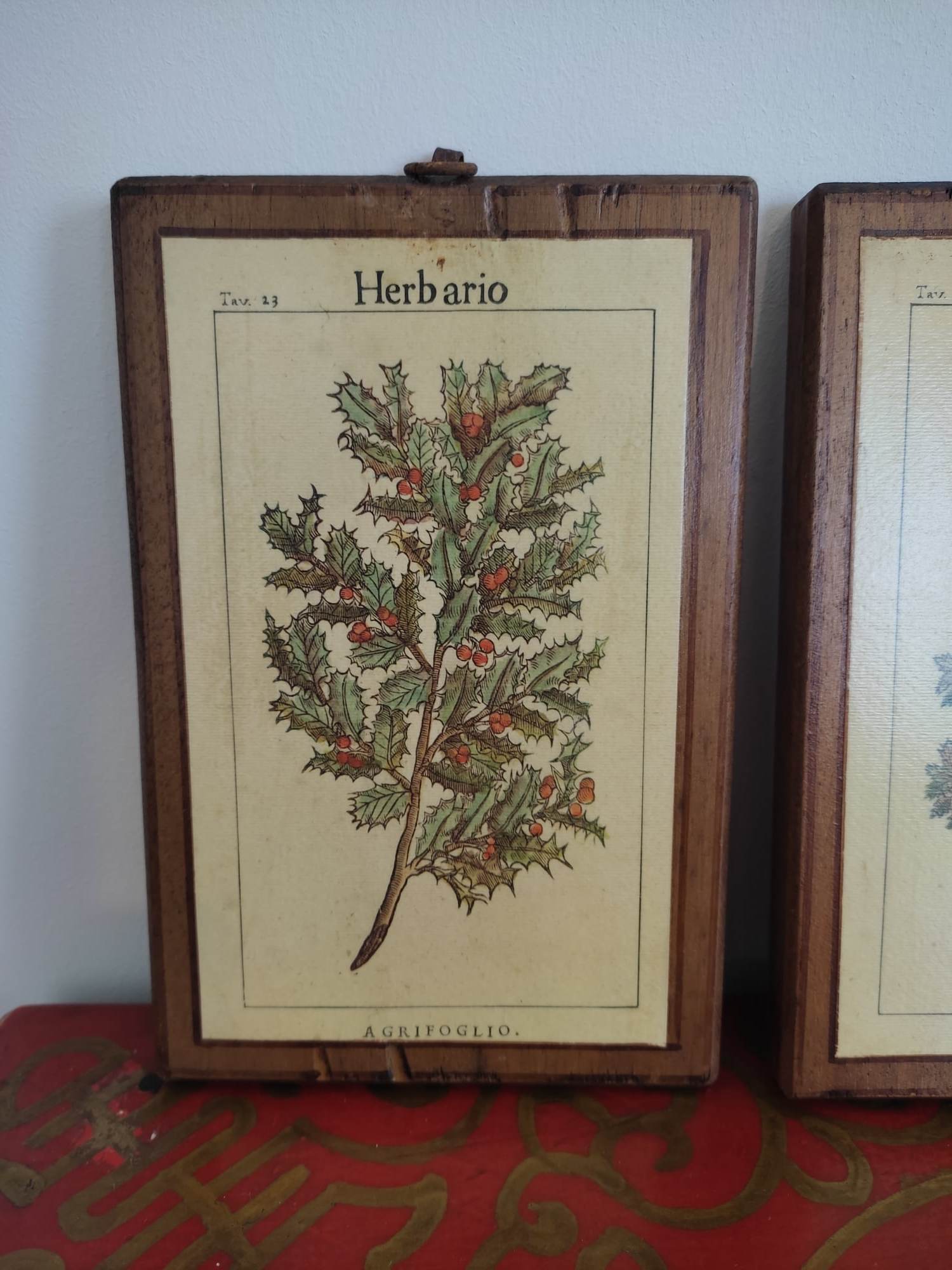 Set of 4 botanical boards with wooden frames
