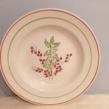 Assorted 4 plates in red and green tones