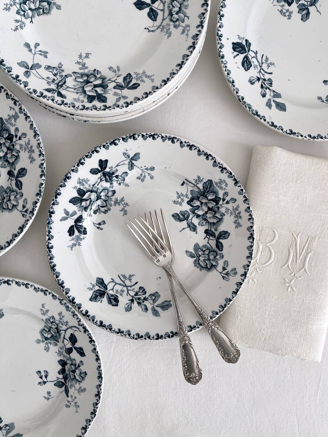 10 assiettes plates en terre de fer « Acacia » Moulin des Loups et Hamage