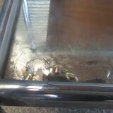 Table rolling bar chrome vintage