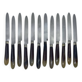 Set of 12 dessert knives with two-tone horn-effect resin handles.