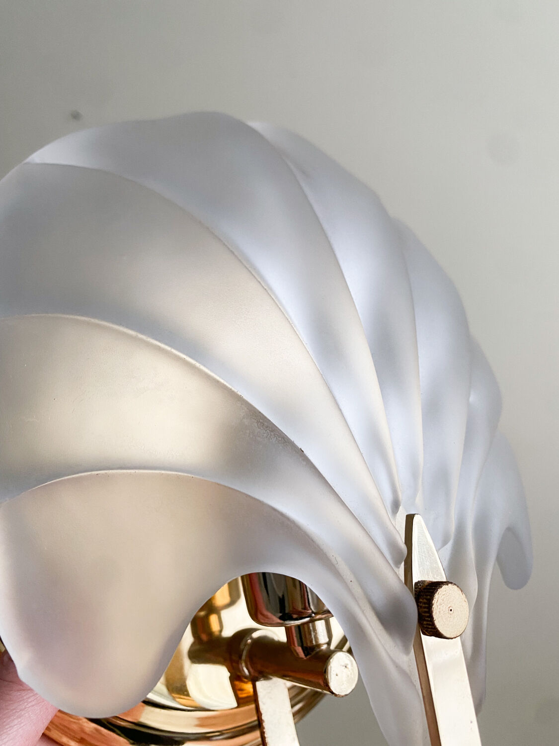 Shell sconces