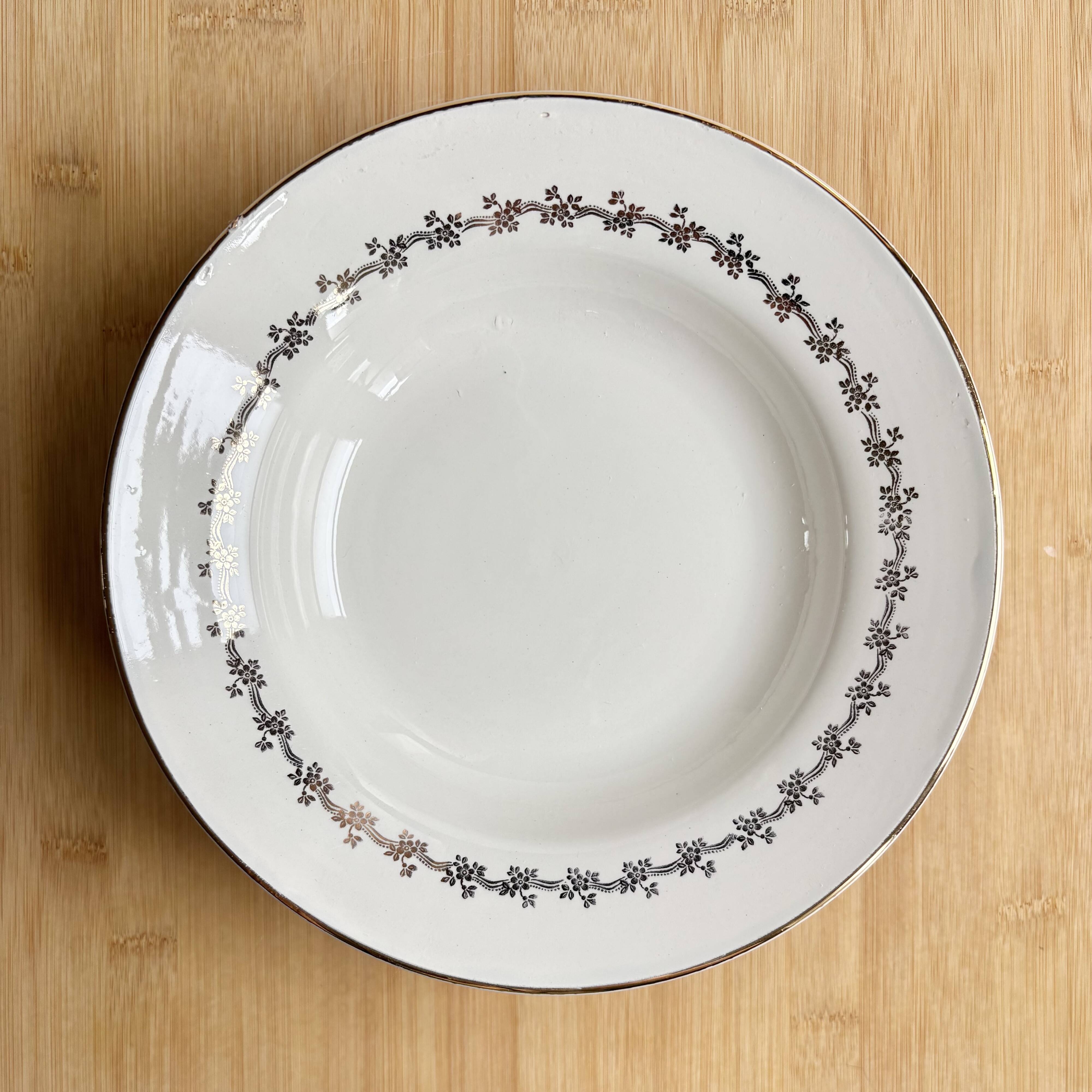 8 Digoin Sarreguemines plates