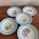 Plat à gâteau et 5 assiettes à dessert fb limoges