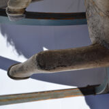 The early 1900s rocking horse