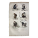 Original zoological plate "Guinea Monkey, Camail, Roloway - Buffon 1838"