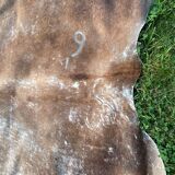 Cow skin