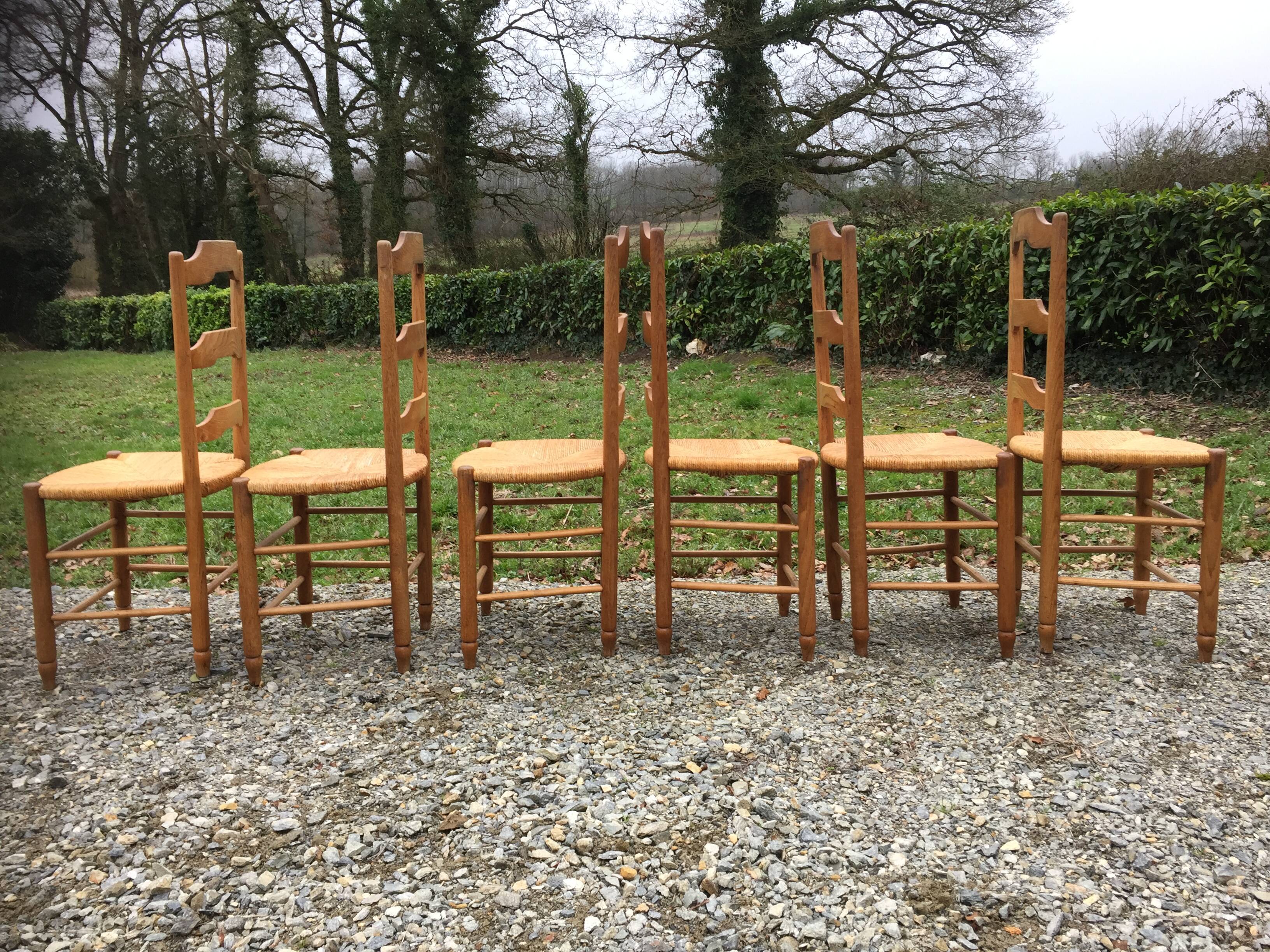 6 vintage mulched oak chairs